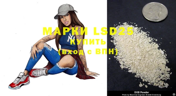 spice Инсар