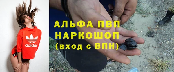 spice Инсар