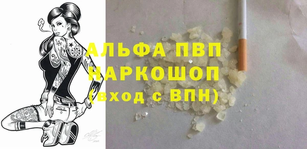 spice Инсар