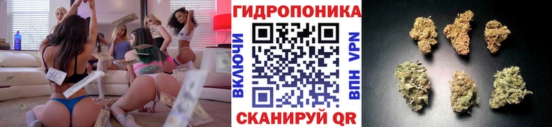 Каннабис AK-47  mega как зайти  Мглин 